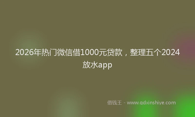 2026年热门微信借1000元贷款，整理五个2024放水app