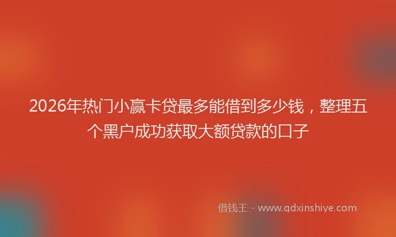 2026年热门小赢卡贷最多能借到多少钱，整理五个黑户成功获取大额贷款的口子