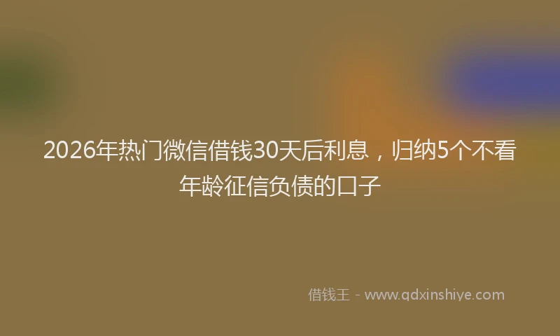 2026年热门微信借钱30天后利息，归纳5个不看年龄征信负债的口子