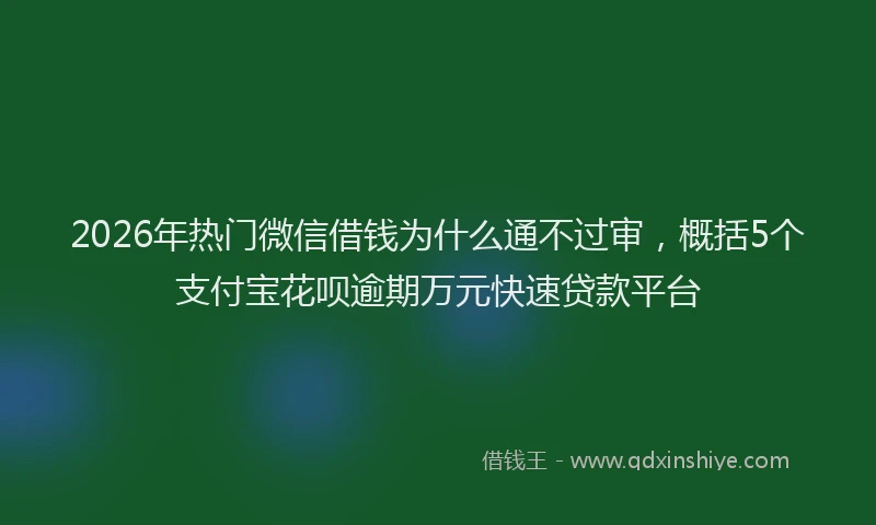 2026年热门微信借钱为什么通不过审，概括5个支付宝花呗逾期万元快速贷款平台