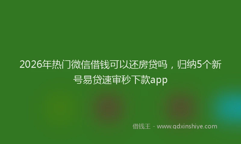 2026年热门微信借钱可以还房贷吗，归纳5个新号易贷速审秒下款app