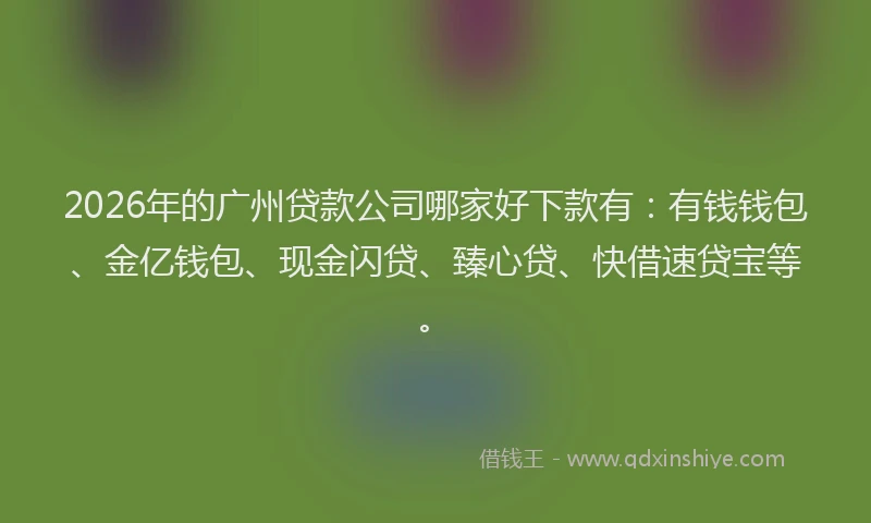 2026年的广州贷款公司哪家好下款有：有钱钱包、金亿钱包、现金闪贷、臻心贷、快借速贷宝等。