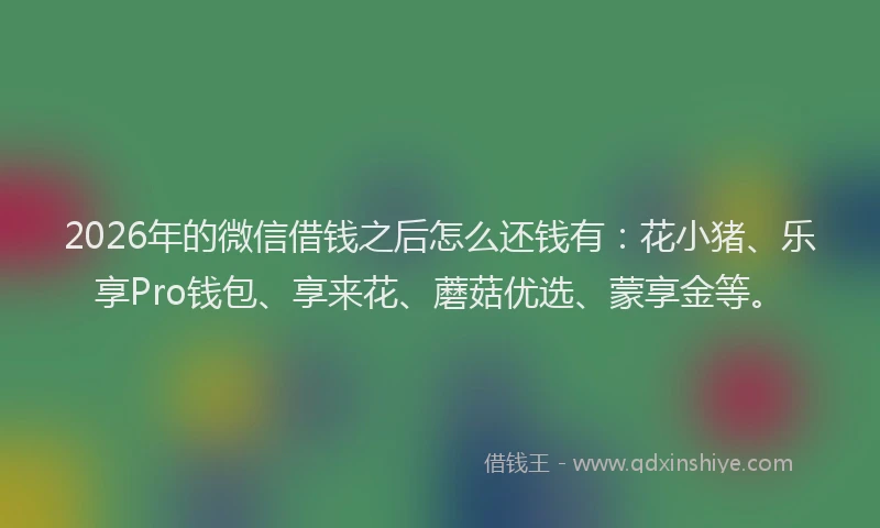 2026年的微信借钱之后怎么还钱有:花小猪、乐享Pro钱包、享来花、蘑菇优选、蒙享金等。
