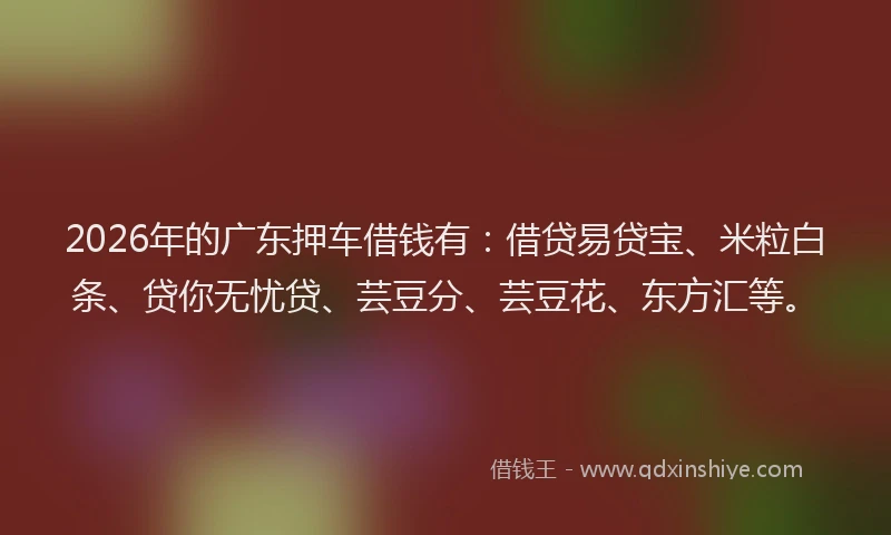 2026年的广东押车借钱有：借贷易贷宝、米粒白条、贷你无忧贷、芸豆分、芸豆花、东方汇等。