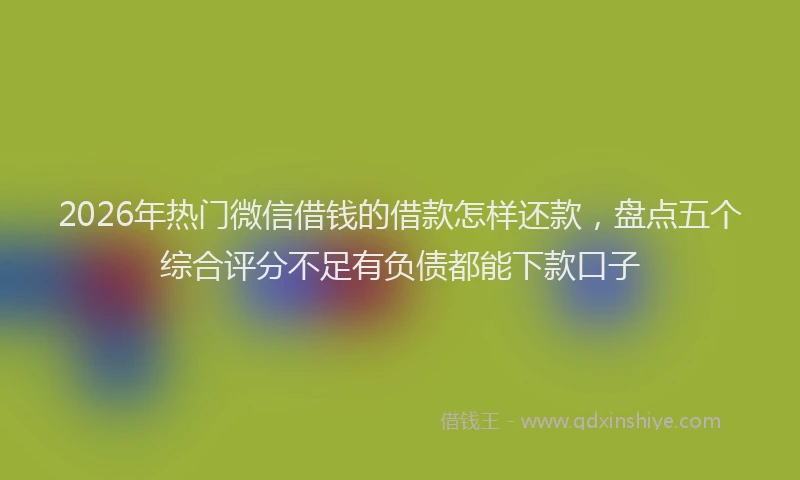 2026年热门微信借钱的借款怎样还款，盘点五个综合评分不足有负债都能下款口子