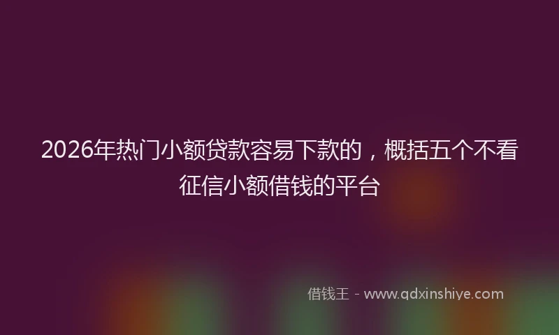 2026年热门小额贷款容易下款的，概括五个不看征信小额借钱的平台