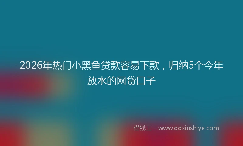 2026年热门小黑鱼贷款容易下款，归纳5个今年放水的网贷口子