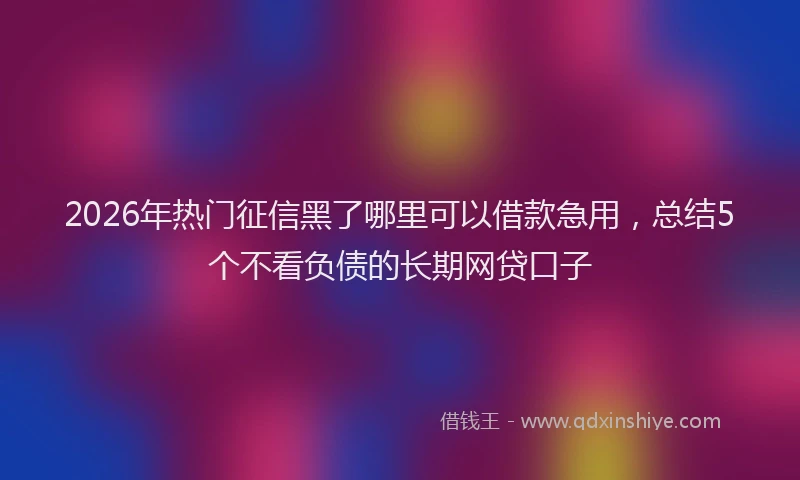 2026年热门征信黑了哪里可以借款急用，总结5个不看负债的长期网贷口子