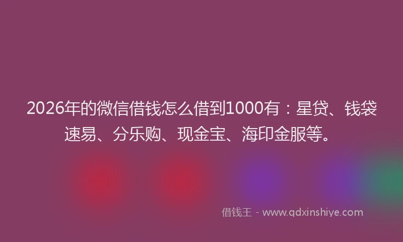 2026年的微信借钱怎么借到1000有：星贷、钱袋速易、分乐购、现金宝、海印金服等。
