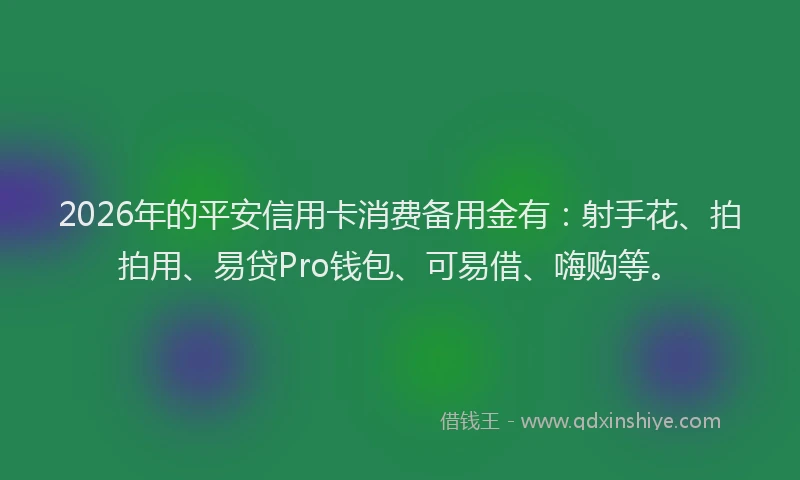 2026年的平安信用卡消费备用金有：射手花、拍拍用、易贷Pro钱包、可易借、嗨购等。