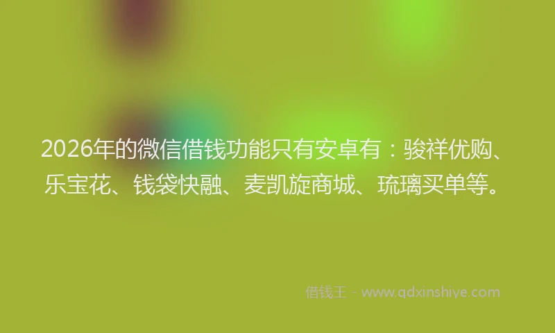 2026年的微信借钱功能只有安卓有：骏祥优购、乐宝花、钱袋快融、麦凯旋商城、琉璃买单等。