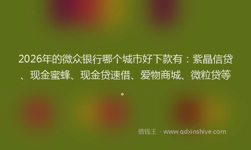 2026年的微众银行哪个城市好下款有:紫晶信贷、现金蜜蜂、现金贷速借、爱物商城、微粒贷等。