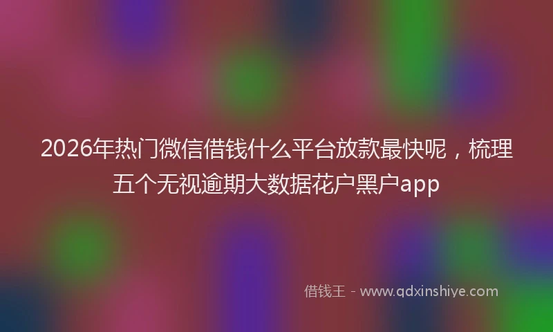 2026年热门微信借钱什么平台放款最快呢，梳理五个无视逾期大数据花户黑户app