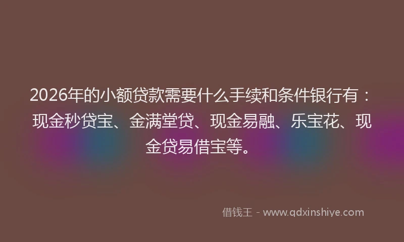 2026年的小额贷款需要什么手续和条件银行有：现金秒贷宝、金满堂贷、现金易融、乐宝花、现金贷易借宝等。