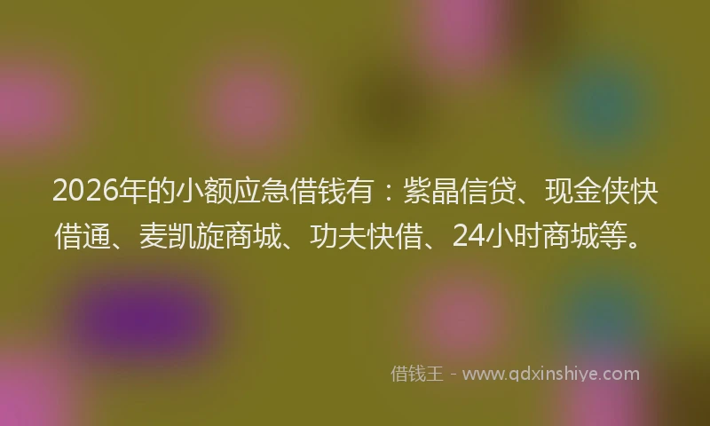 2026年的小额应急借钱有：紫晶信贷、现金侠快借通、麦凯旋商城、功夫快借、24小时商城等。