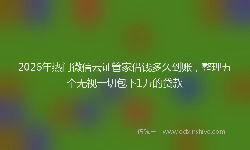 2026年热门微信云证管家借钱多久到账，整理五个无视一切包下1万的贷款