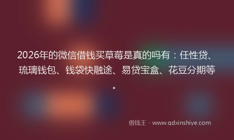 2026年的微信借钱买草莓是真的吗有：任性贷、琉璃钱包、钱袋快融途、易贷宝盒、花豆分期等。