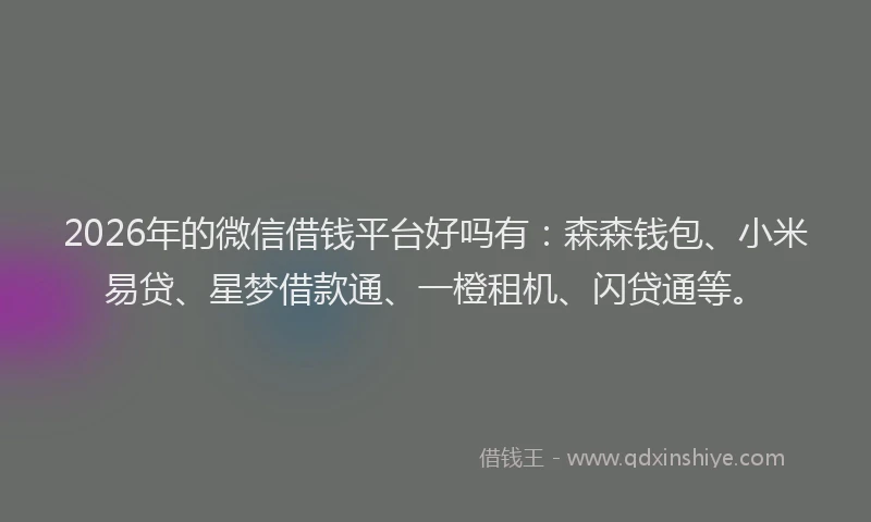 2026年的微信借钱平台好吗有：森森钱包、小米易贷、星梦借款通、一橙租机、闪贷通等。