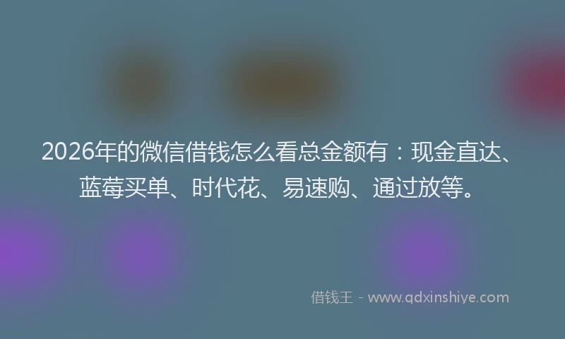 2026年的微信借钱怎么看总金额有：现金直达、蓝莓买单、时代花、易速购、通过放等。