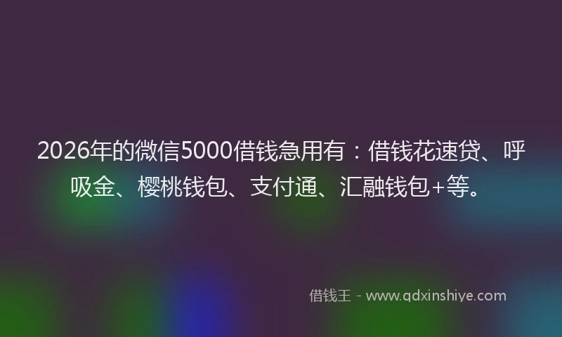 2026年的微信5000借钱急用有：借钱花速贷、呼吸金、樱桃钱包、支付通、汇融钱包+等。
