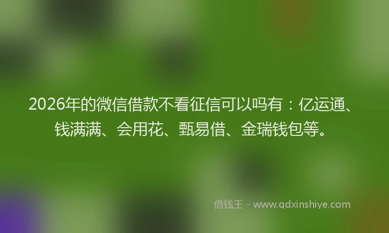 2026年的微信借款不看征信可以吗有：亿运通、钱满满、会用花、甄易借、金瑞钱包等。