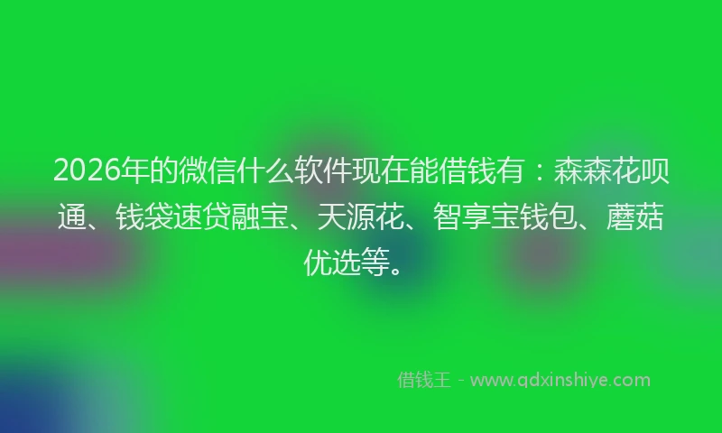 2026年的微信什么软件现在能借钱有:森森花呗通、钱袋速贷融宝、天源花、智享宝钱包、蘑菇优选等。