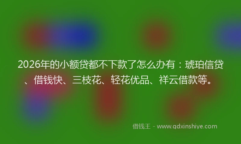 2026年的小额贷都不下款了怎么办有：琥珀信贷、借钱快、三枝花、轻花优品、祥云借款等。