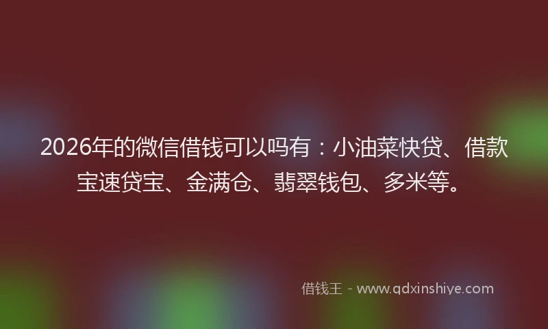 2026年的微信借钱可以吗有:小油菜快贷、借款宝速贷宝、金满仓、翡翠钱包、多米等。
