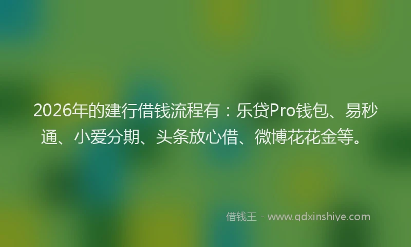 2026年的建行借钱流程有：乐贷Pro钱包、易秒通、小爱分期、头条放心借、微博花花金等。