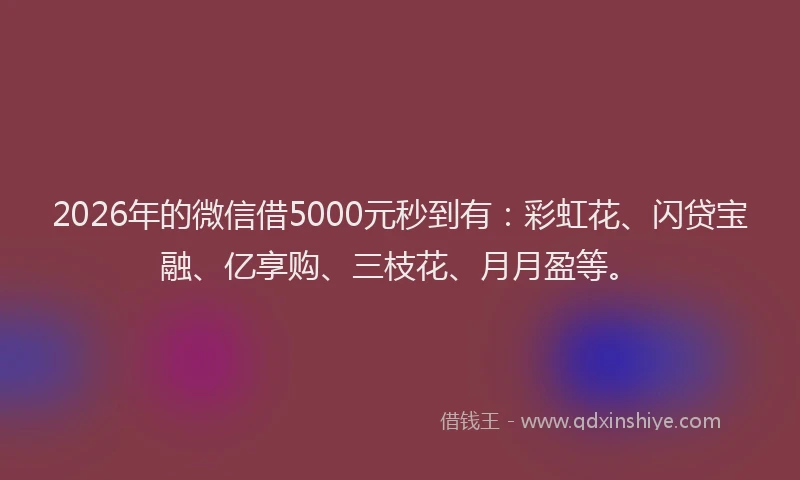 2026年的微信借5000元秒到有：彩虹花、闪贷宝融、亿享购、三枝花、月月盈等。