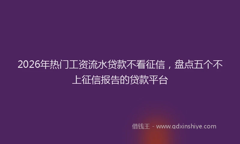 2026年热门工资流水贷款不看征信,盘点五个不上征信报告的贷款平台