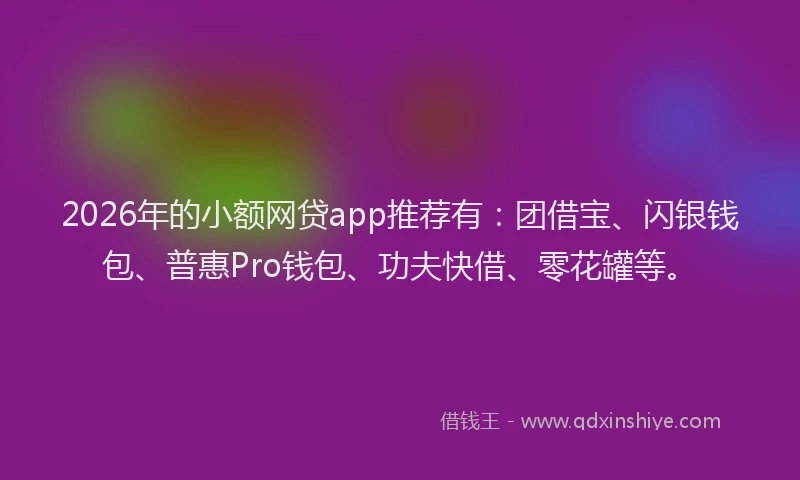 2026年的小额网贷app推荐有：团借宝、闪银钱包、普惠Pro钱包、功夫快借、零花罐等。
