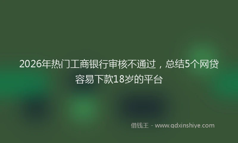 2026年热门工商银行审核不通过,总结5个网贷容易下款18岁的平台