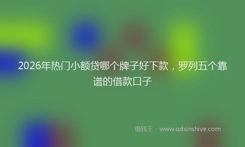 2026年热门小额贷哪个牌子好下款，罗列五个靠谱的借款口子