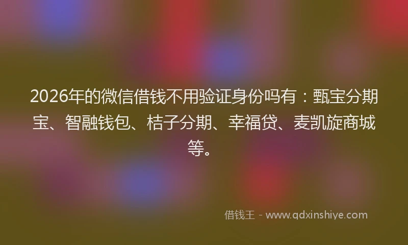 2026年的微信借钱不用验证身份吗有：甄宝分期宝、智融钱包、桔子分期、幸福贷、麦凯旋商城等。