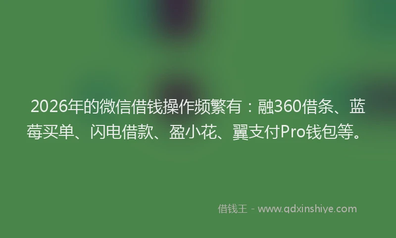 2026年的微信借钱操作频繁有:融360借条、蓝莓买单、闪电借款、盈小花、翼支付Pro钱包等。