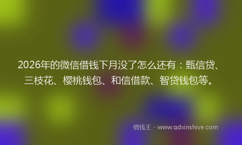 2026年的微信借钱下月没了怎么还有：甄信贷、三枝花、樱桃钱包、和信借款、智贷钱包等。