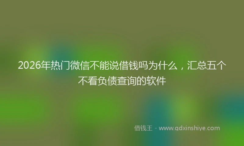 2026年热门微信不能说借钱吗为什么，汇总五个不看负债查询的软件