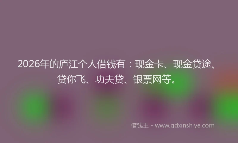 2026年的庐江个人借钱有：现金卡、现金贷途、贷你飞、功夫贷、银票网等。