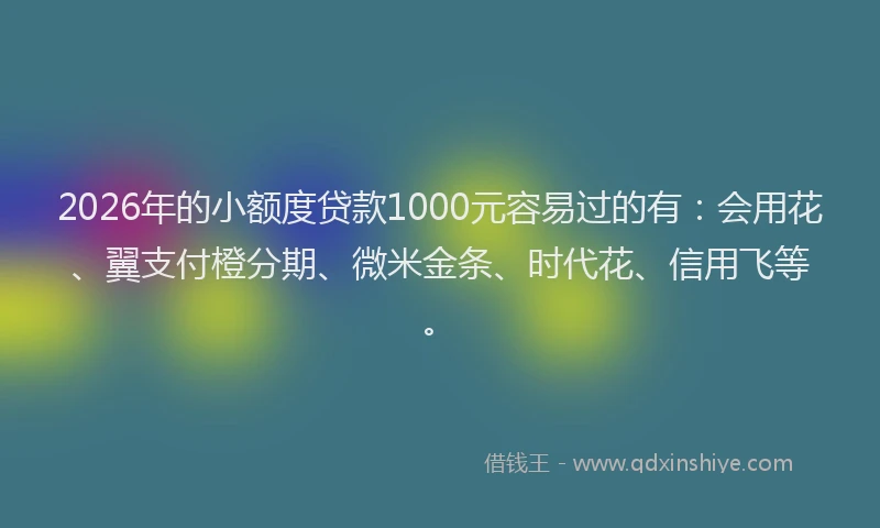 2026年的小额度贷款1000元容易过的有：会用花、翼支付橙分期、微米金条、时代花、信用飞等。