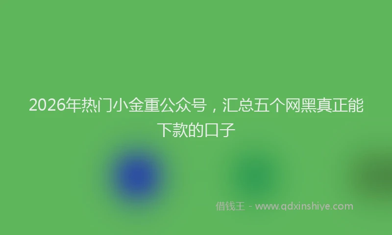 2026年热门小金重公众号，汇总五个网黑真正能下款的口子