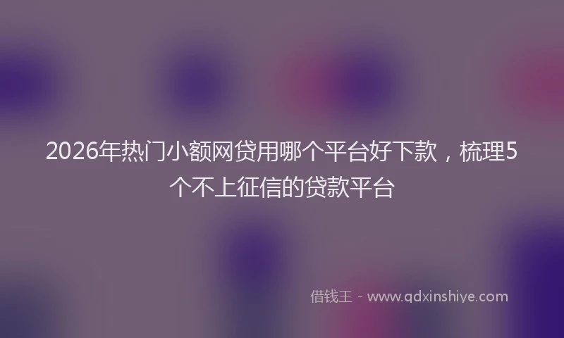 2026年热门小额网贷用哪个平台好下款,梳理5个不上征信的贷款平台