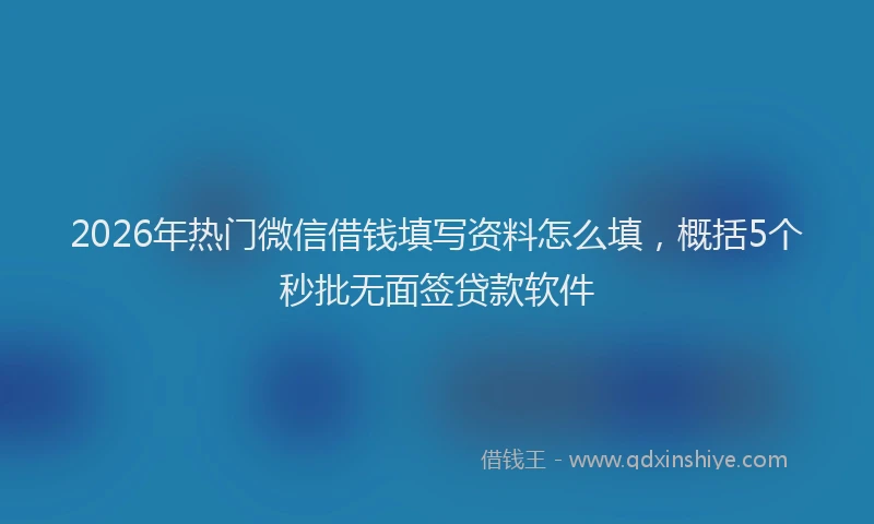 2026年热门微信借钱填写资料怎么填，概括5个秒批无面签贷款软件