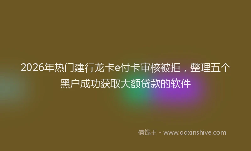 2026年热门建行龙卡e付卡审核被拒，整理五个黑户成功获取大额贷款的软件