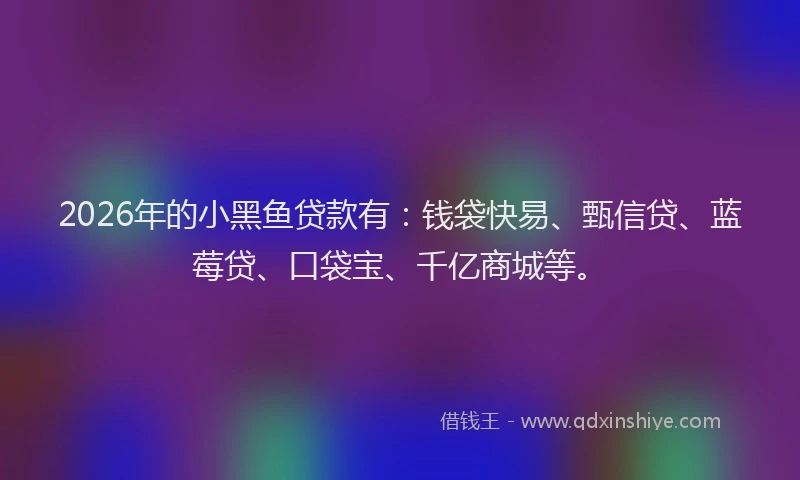 2026年的小黑鱼贷款有:钱袋快易、甄信贷、蓝莓贷、口袋宝、千亿商城等。