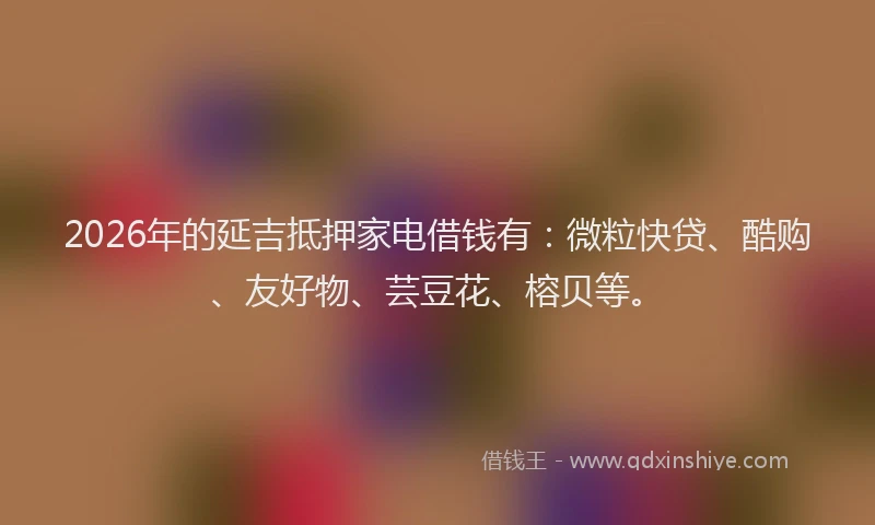 2026年的延吉抵押家电借钱有:微粒快贷、酷购、友好物、芸豆花、榕贝等。