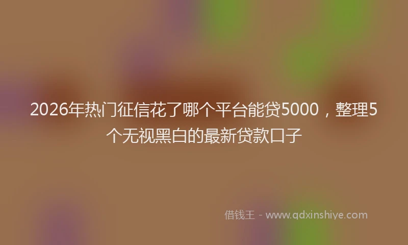 2026年热门征信花了哪个平台能贷5000，整理5个无视黑白的最新贷款口子