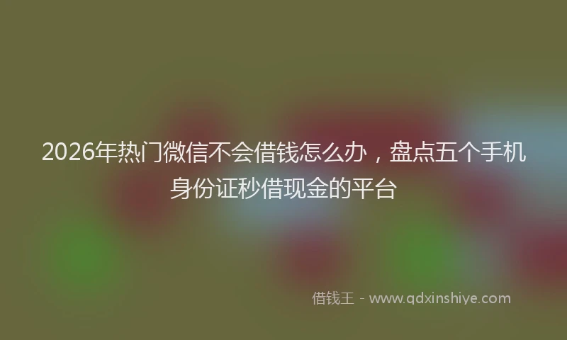 2026年热门微信不会借钱怎么办，盘点五个手机身份证秒借现金的平台