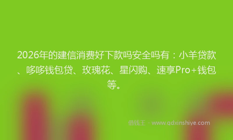 2026年的建信消费好下款吗安全吗有:小羊贷款、哆哆钱包贷、玫瑰花、星闪购、速享Pro+钱包等。