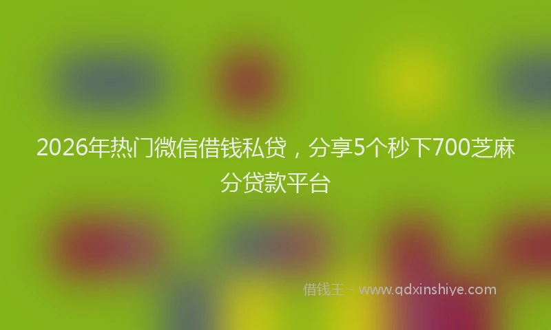2026年热门微信借钱私贷，分享5个秒下700芝麻分贷款平台